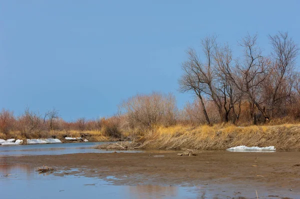 nehir son buz. Son buz parçası. son buz Ili Nehri üzerinde iğne. Orta Asya, Kazakistan bozkırlarında