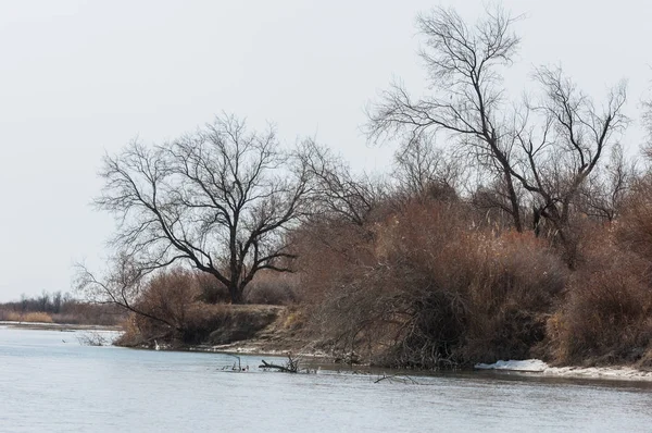 nehir son buz. Son buz parçası. son buz Ili Nehri üzerinde iğne. Orta Asya, Kazakistan bozkırlarında