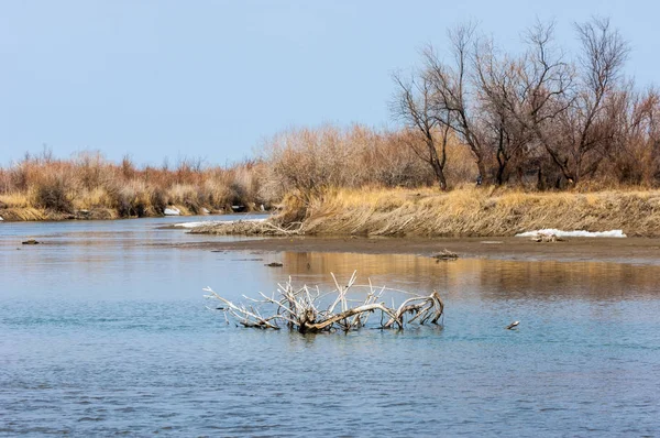 nehir son buz. Son buz parçası. son buz Ili Nehri üzerinde iğne. Orta Asya, Kazakistan bozkırlarında