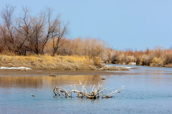 nehir son buz. Son buz parçası. son buz Ili Nehri üzerinde iğne. Orta Asya, Kazakistan bozkırlarında