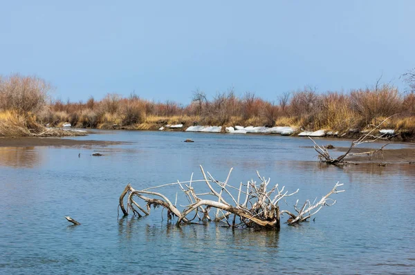 nehir son buz. Son buz parçası. son buz Ili Nehri üzerinde iğne. Orta Asya, Kazakistan bozkırlarında
