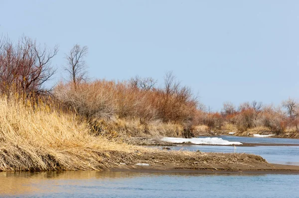 nehir son buz. Son buz parçası. son buz Ili Nehri üzerinde iğne. Orta Asya, Kazakistan bozkırlarında