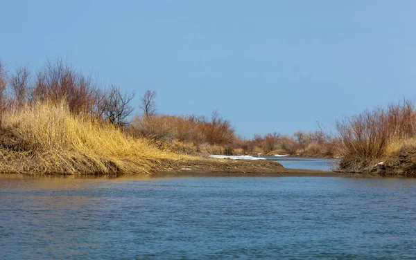 nehir son buz. Son buz parçası. son buz Ili Nehri üzerinde iğne. Orta Asya, Kazakistan bozkırlarında