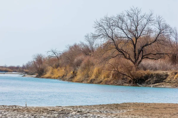 Último Hielo Del Río Último Témpano Última Aguja Hielo Río — Foto de Stock