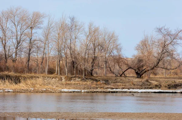 Último Hielo Del Río Último Témpano Última Aguja Hielo Río — Foto de Stock