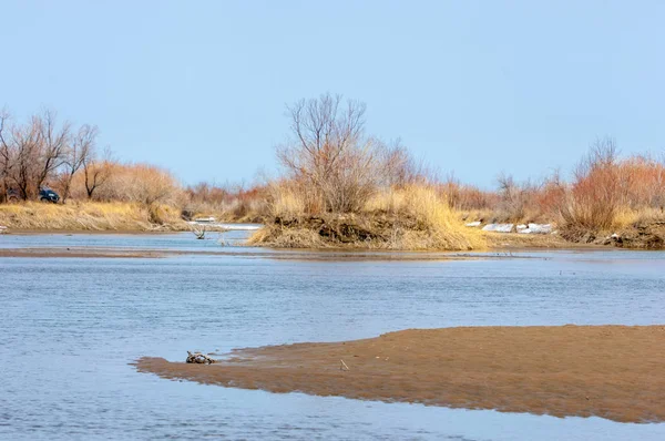 nehir son buz. Son buz parçası. son buz Ili Nehri üzerinde iğne. Orta Asya, Kazakistan bozkırlarında