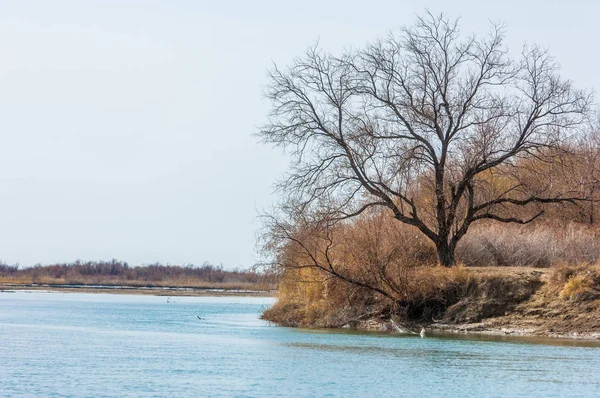 nehir son buz. Son buz parçası. son buz Ili Nehri üzerinde iğne. Orta Asya, Kazakistan bozkırlarında