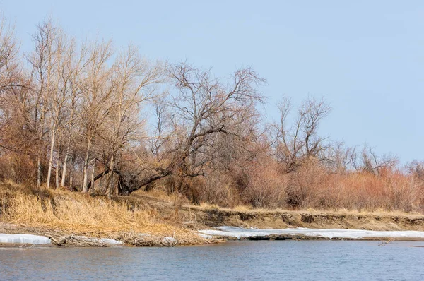 nehir son buz. Son buz parçası. son buz Ili Nehri üzerinde iğne. Orta Asya, Kazakistan bozkırlarında