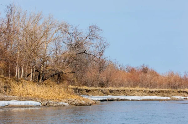 nehir son buz. Son buz parçası. son buz Ili Nehri üzerinde iğne. Orta Asya, Kazakistan bozkırlarında