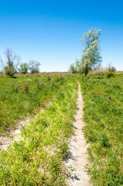 bozkır, çayır, veld, veldt. Güneydoğu Avrupa ve Sibirya düz unforested otlak geniş bir alanda.