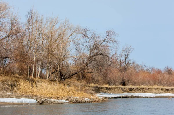nehir son buz. Son buz parçası. son buz Ili Nehri üzerinde iğne. Orta Asya, Kazakistan bozkırlarında