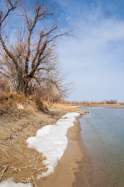 nehir son buz. Son buz parçası. son buz Ili Nehri üzerinde iğne. Orta Asya, Kazakistan bozkırlarında