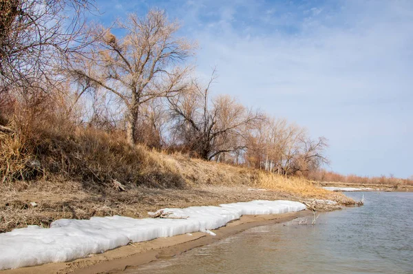 nehir son buz. Son buz parçası. son buz Ili Nehri üzerinde iğne. Orta Asya, Kazakistan bozkırlarında