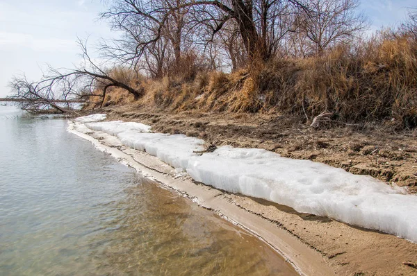 nehir son buz. Son buz parçası. son buz Ili Nehri üzerinde iğne. Orta Asya, Kazakistan bozkırlarında