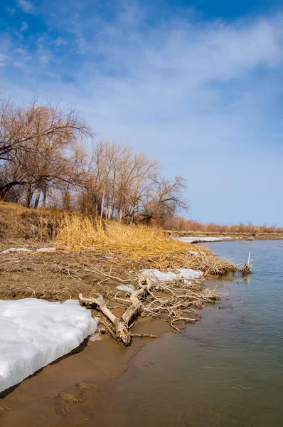 nehir son buz. Son buz parçası. son buz Ili Nehri üzerinde iğne. Orta Asya, Kazakistan bozkırlarında