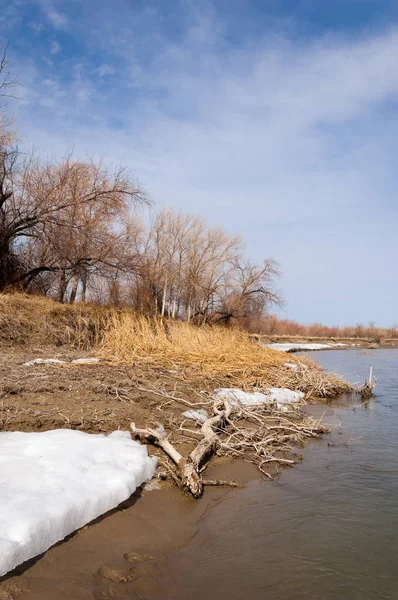nehir son buz. Son buz parçası. son buz Ili Nehri üzerinde iğne. Orta Asya, Kazakistan bozkırlarında