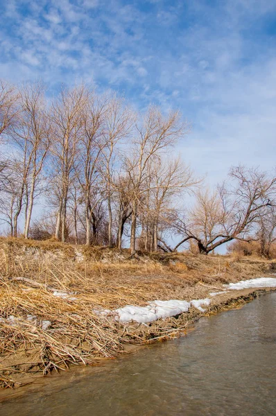 nehir son buz. Son buz parçası. son buz Ili Nehri üzerinde iğne. Orta Asya, Kazakistan bozkırlarında