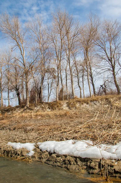 Fluss Letztes Eis Letzte Eisscholle Letztes Nadeleis Auf Dem Fluss — Stockfoto