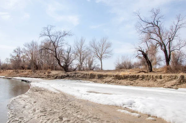 nehir son buz. Son buz parçası. son buz Ili Nehri üzerinde iğne. Orta Asya, Kazakistan bozkırlarında