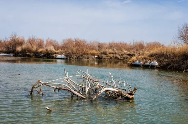 nehir son buz. Son buz parçası. son buz Ili Nehri üzerinde iğne. Orta Asya, Kazakistan bozkırlarında