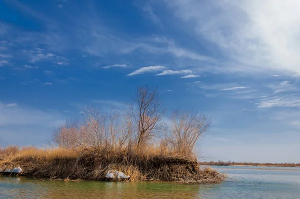 Último Hielo Del Río Último Témpano Última Aguja Hielo Río — Foto de Stock