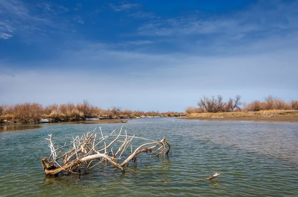 nehir son buz. Son buz parçası. son buz Ili Nehri üzerinde iğne. Orta Asya, Kazakistan bozkırlarında