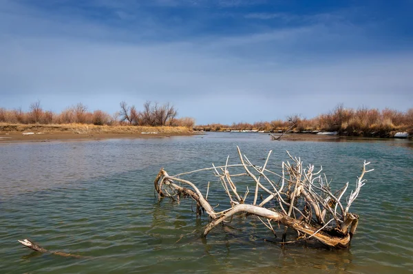 nehir son buz. Son buz parçası. son buz Ili Nehri üzerinde iğne. Orta Asya, Kazakistan bozkırlarında