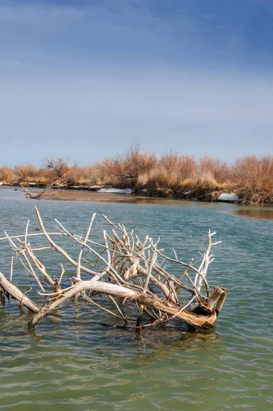 nehir son buz. Son buz parçası. son buz Ili Nehri üzerinde iğne. Orta Asya, Kazakistan bozkırlarında