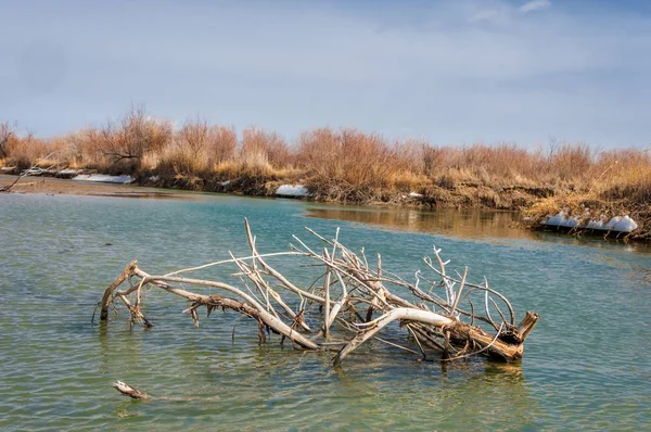 nehir son buz. Son buz parçası. son buz Ili Nehri üzerinde iğne. Orta Asya, Kazakistan bozkırlarında