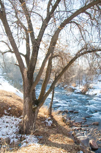 su küçük bir nehir erken ilkbahar akarsu. Bahar sahne. donmuş bir dere ile dağ manzarası