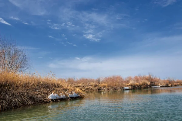 nehir son buz. Son buz parçası. son buz Ili Nehri üzerinde iğne. Orta Asya, Kazakistan bozkırlarında