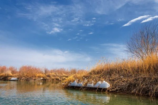 nehir son buz. Son buz parçası. son buz Ili Nehri üzerinde iğne. Orta Asya, Kazakistan bozkırlarında