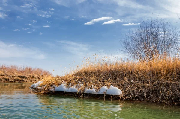 nehir son buz. Son buz parçası. son buz Ili Nehri üzerinde iğne. Orta Asya, Kazakistan bozkırlarında
