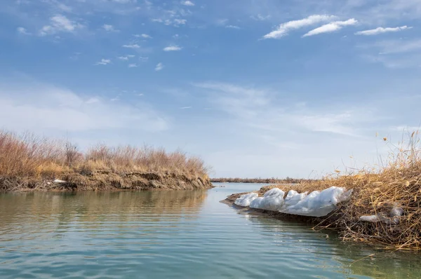 nehir son buz. Son buz parçası. son buz Ili Nehri üzerinde iğne. Orta Asya, Kazakistan bozkırlarında
