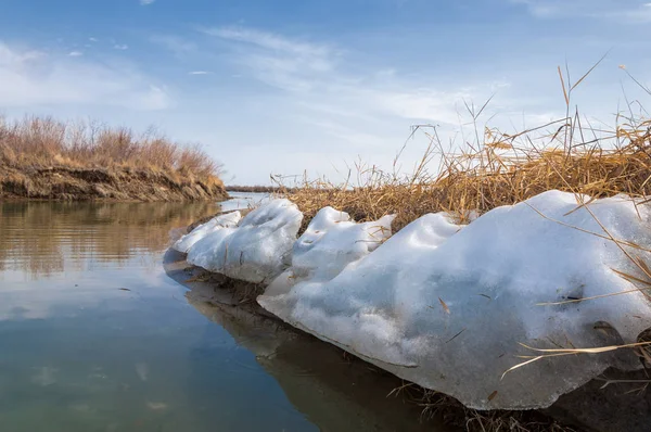nehir son buz. Son buz parçası. son buz Ili Nehri üzerinde iğne. Orta Asya, Kazakistan bozkırlarında