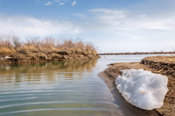 nehir son buz. Son buz parçası. son buz Ili Nehri üzerinde iğne. Orta Asya, Kazakistan bozkırlarında