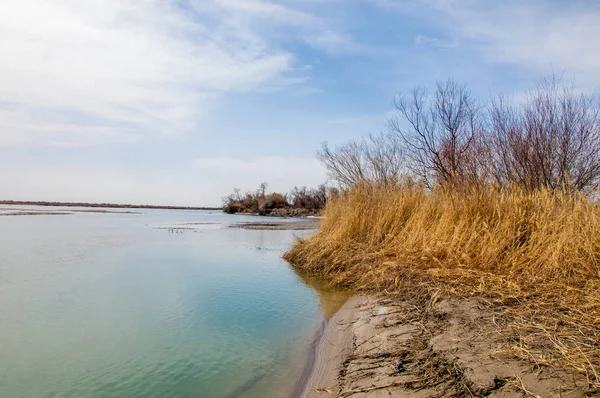 nehir son buz. Son buz parçası. son buz Ili Nehri üzerinde iğne. Orta Asya, Kazakistan bozkırlarında