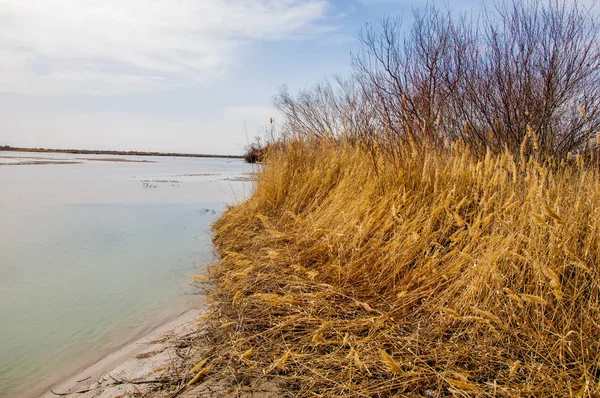 nehir son buz. Son buz parçası. son buz Ili Nehri üzerinde iğne. Orta Asya, Kazakistan bozkırlarında