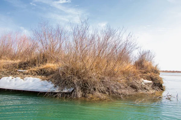 nehir son buz. Son buz parçası. son buz Ili Nehri üzerinde iğne. Orta Asya, Kazakistan bozkırlarında