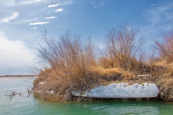 nehir son buz. Son buz parçası. son buz Ili Nehri üzerinde iğne. Orta Asya, Kazakistan bozkırlarında