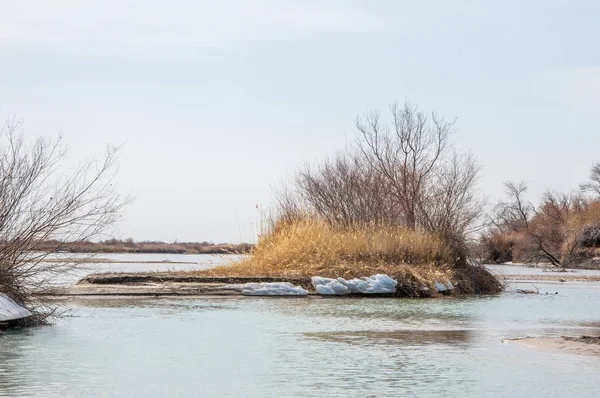 Último Hielo Del Río Último Témpano Última Aguja Hielo Río — Foto de Stock