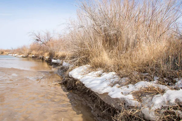 nehir son buz. Son buz parçası. son buz Ili Nehri üzerinde iğne. Orta Asya, Kazakistan bozkırlarında