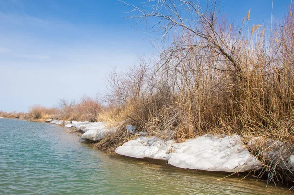 nehir son buz. Son buz parçası. son buz Ili Nehri üzerinde iğne. Orta Asya, Kazakistan bozkırlarında
