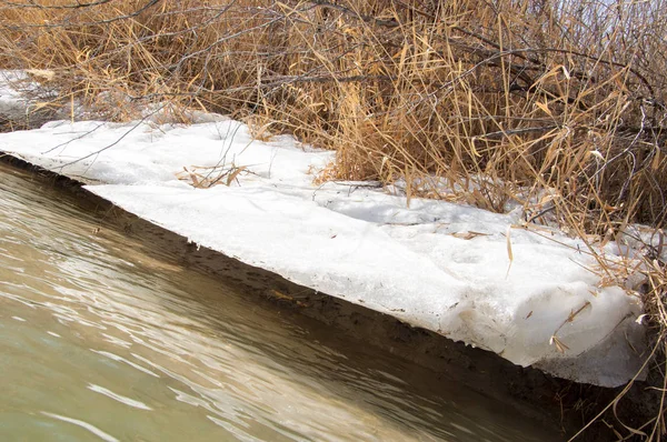 nehir son buz. Son buz parçası. son buz Ili Nehri üzerinde iğne. Orta Asya, Kazakistan bozkırlarında