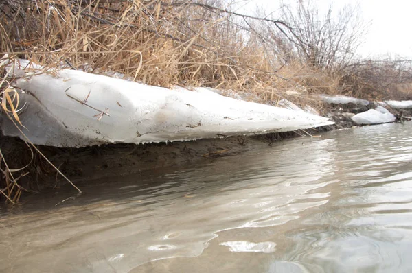 nehir son buz. Son buz parçası. son buz Ili Nehri üzerinde iğne. Orta Asya, Kazakistan bozkırlarında