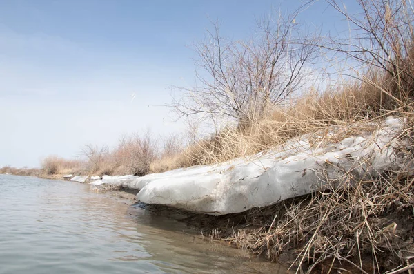 nehir son buz. Son buz parçası. son buz Ili Nehri üzerinde iğne. Orta Asya, Kazakistan bozkırlarında