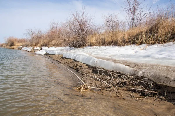 nehir son buz. Son buz parçası. son buz Ili Nehri üzerinde iğne. Orta Asya, Kazakistan bozkırlarında