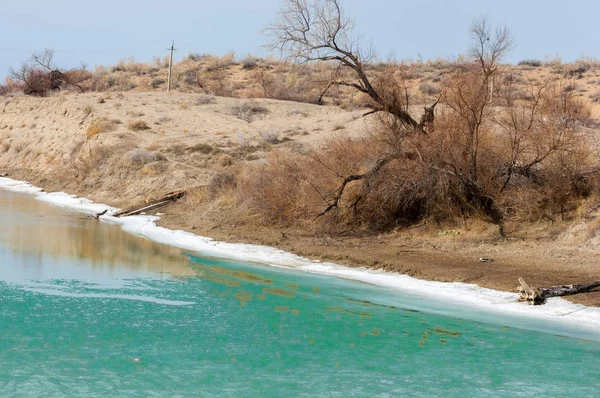 nehir son buz. Son buz parçası. son buz Ili Nehri üzerinde iğne. Orta Asya, Kazakistan bozkırlarında