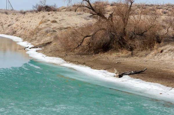 nehir son buz. Son buz parçası. son buz Ili Nehri üzerinde iğne. Orta Asya, Kazakistan bozkırlarında