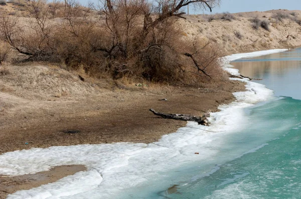 nehir son buz. Son buz parçası. son buz Ili Nehri üzerinde iğne. Orta Asya, Kazakistan bozkırlarında